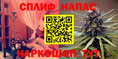 стаф Можга