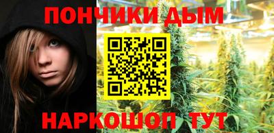 стаф Можга