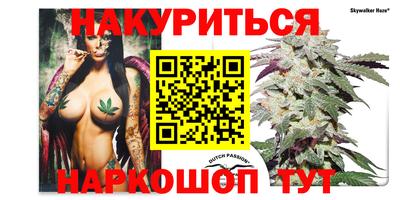 стаф Можга
