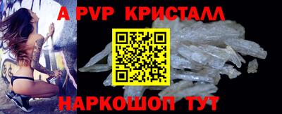 стаф Можга