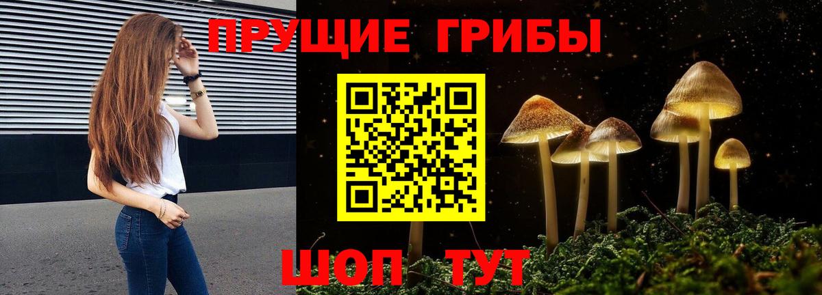 Псилоцибиновые грибы Cubensis  Вход с VPN  Туапсе 